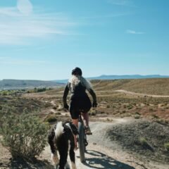 woman riding fat bike running on road with black and white foal during daytime